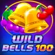 Winer game id