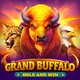 Winer game id