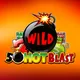 Winer game id